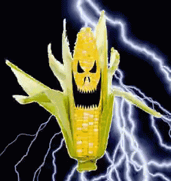 a corn on the cob with a face on it