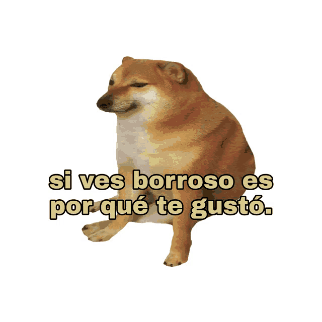 a picture of a dog with the words si ves borroso es por que te gustó