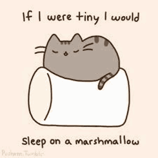 a cat is sleeping on a marshmallow with a quote .