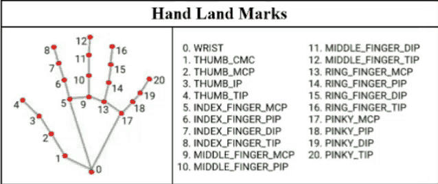 a diagram of hand land marks with numbers and letters