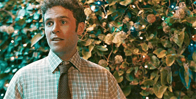 a man in a plaid shirt and tie is standing in front of a bush with lights .