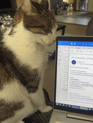 a cat is looking at an email from lisa lankins on a laptop