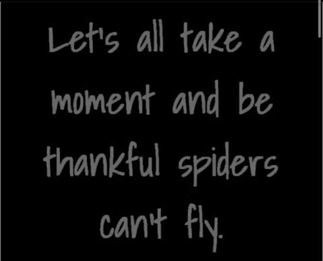 let 's all take a moment and be thankful spiders can t fly