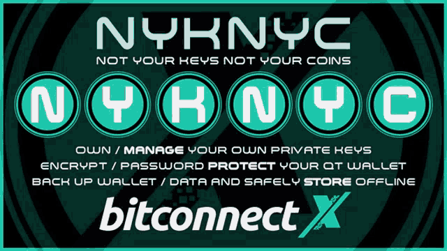 nyknyc not your keys not your coins advertisement