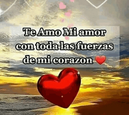 a red heart is floating in the water with the words `` te amo mi amor con toda las fuerzas de mi corazon '' written on it .