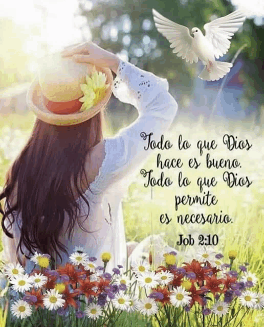 a woman sitting in a field with flowers and a dove flying in the background with a quote from job 2:10