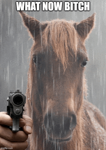 a person is pointing a gun at a horse with the words " what now bitch " above it