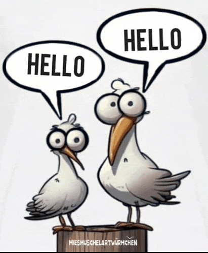 two seagulls standing next to each other with speech bubbles saying hello