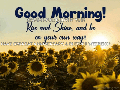 a picture of sunflowers with a good morning message