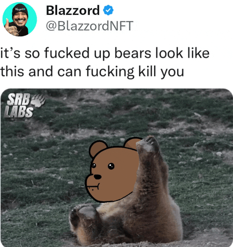 a picture of a bear with a caption that says " it 's so fucked up bears look like this and can fucking kill you