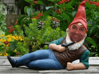 a garden gnome with a red hat and a pipe