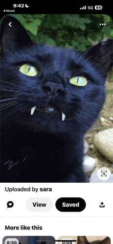 a black cat with yellow eyes and sharp teeth is on a phone screen