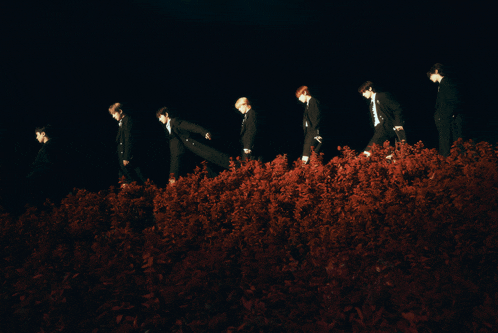 a group of men are walking in a field of red flowers