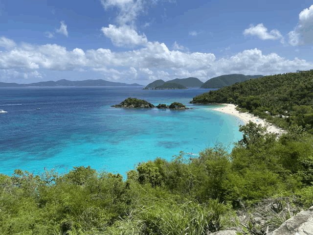 a beach with a white sandy shoreline surrounded by trees and mountains