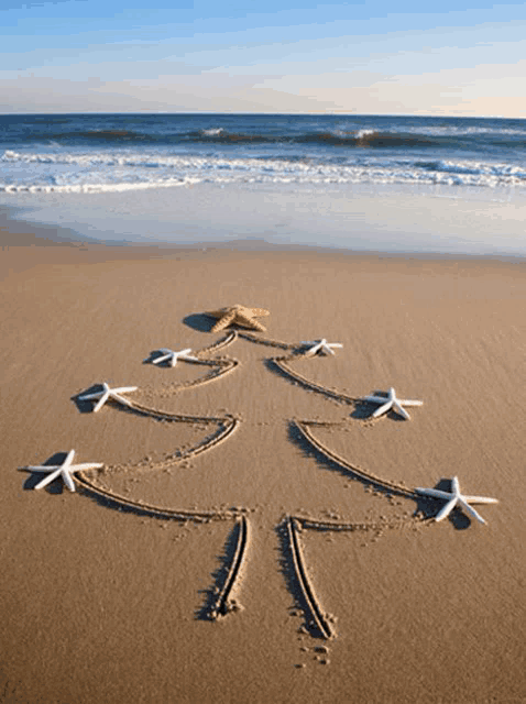 a sandy beach with a christmas tree drawn in the sand