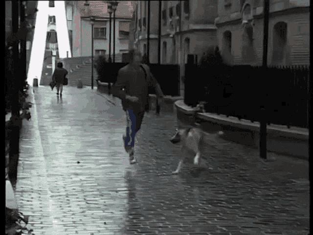 a man walking a dog on a leash down a cobblestone street