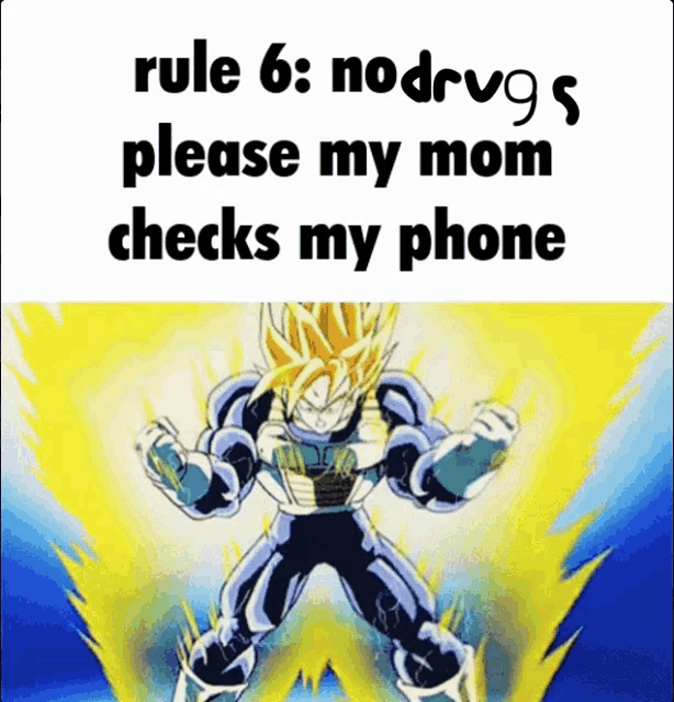 rule 6 : no drugs please my mom checks my phone with a picture of vegeta