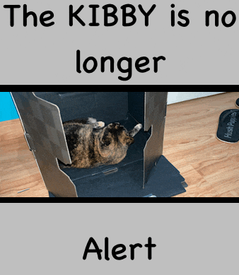 a cat laying in a cardboard box with the words " the kibby is no longer alert " above it