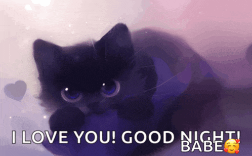 a picture of a black cat with the words i love you good night babe