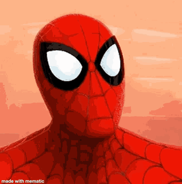 a close up of a spider man 's face made with mematic .