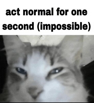 a picture of a cat with the words act normal for one second ( impossible ) above it