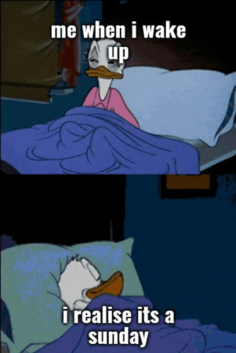 a cartoon of donald duck in bed with the caption me when i wake up i realise it 's a sunday