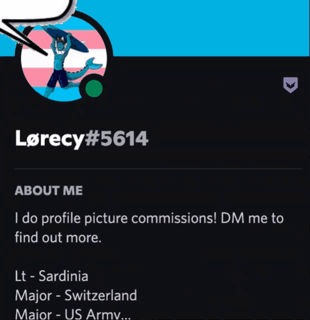 a screenshot of a person 's profile with the username lorcy # 5614