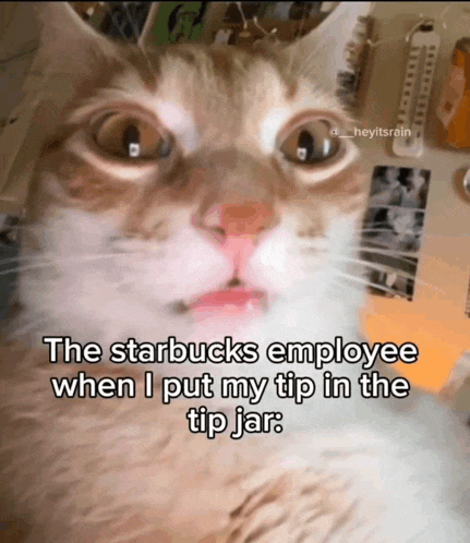 a close up of a cat with a caption that says " the starbucks employee when i put my tip in the tip jar "