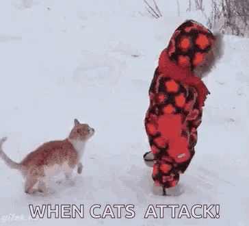 a child is walking in the snow while a cat leaps over him .