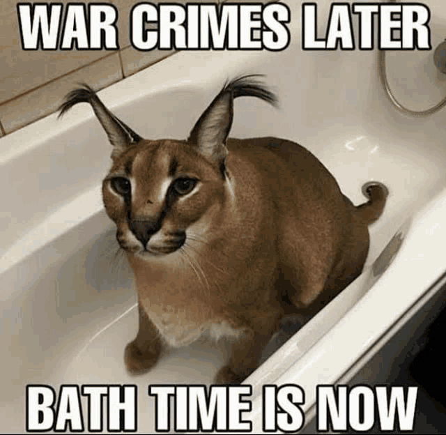 a cat is sitting in a bathtub with a caption that says war crimes later bath time is now