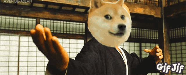 a gif of a doge with the words gif jif in the corner