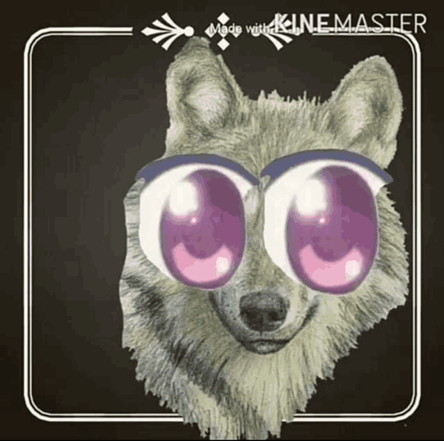 a drawing of a wolf 's face with purple eyes made with kinemaster