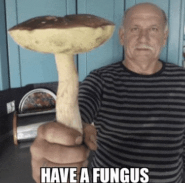 a man is holding a mushroom in his hand with the caption have a fungus