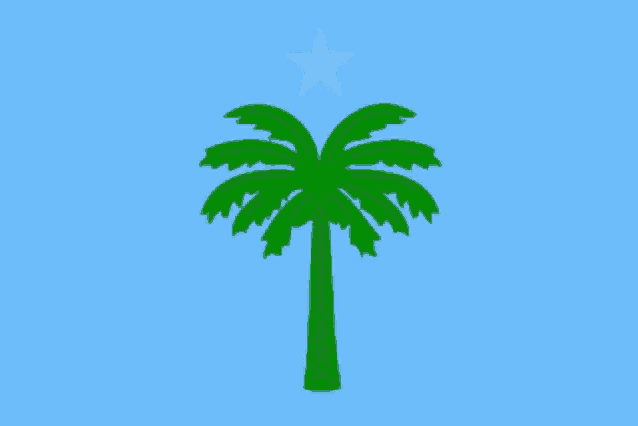 a green palm tree with a white star on top on a blue background