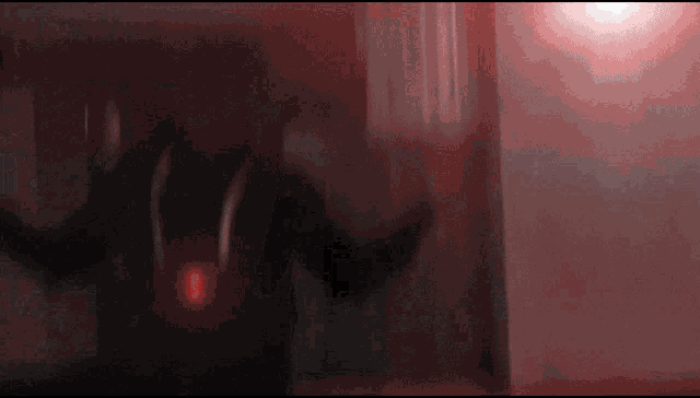 a blurred image of a person standing in a dark room with a red light behind them
