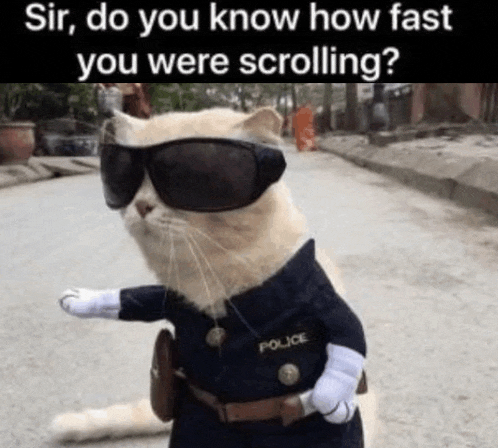 a cat dressed as a police officer wearing sunglasses .