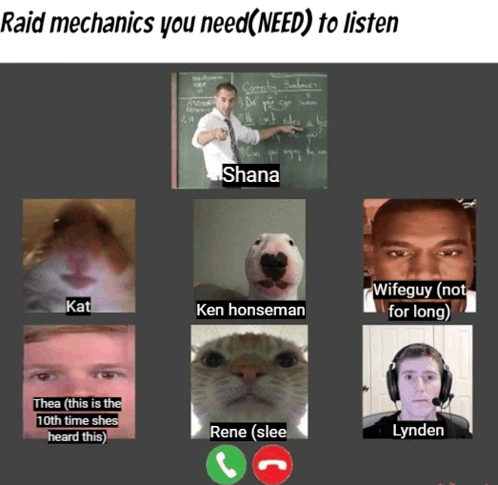 a group of people are on a video call with the words raid mechanics you need need to listen at the top