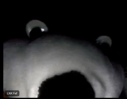 a screen shot of a person 's face with the letters lnx fef visible