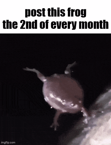 a picture of a frog with the words post this frog the 2nd of every month .