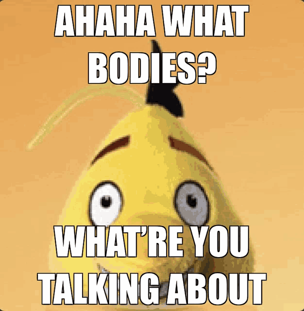 a picture of a stuffed animal with the caption " ahaha what bodies "