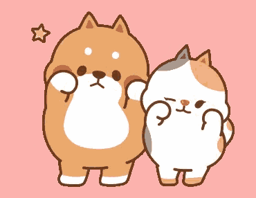 a dog and a cat standing next to each other with a star above them