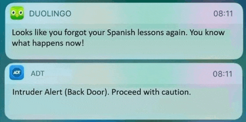 two notifications from duolingo and intruder alert are displayed on a phone screen .