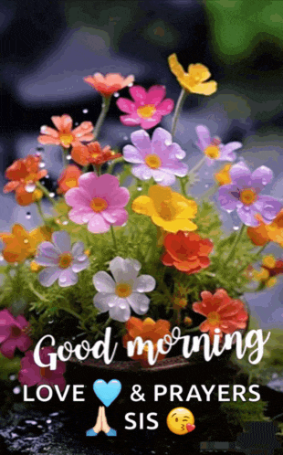 a bouquet of colorful flowers with the words good morning love and prayers