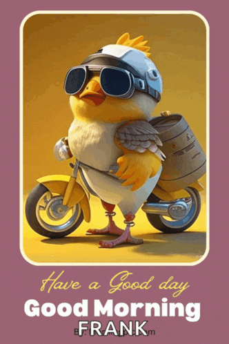 a cartoon chicken wearing a helmet and goggles is on a motorcycle and says good morning frank