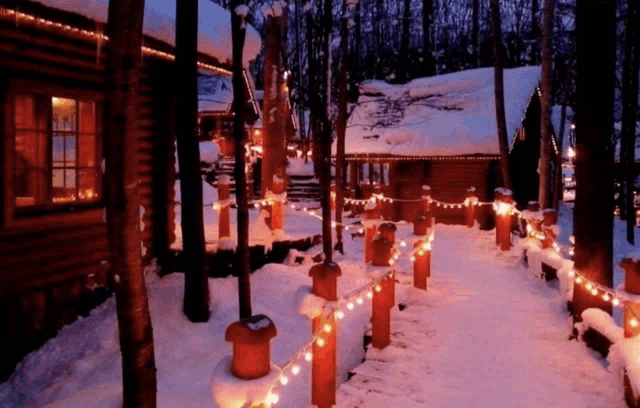 a snowy path leading to a log cabin with christmas lights