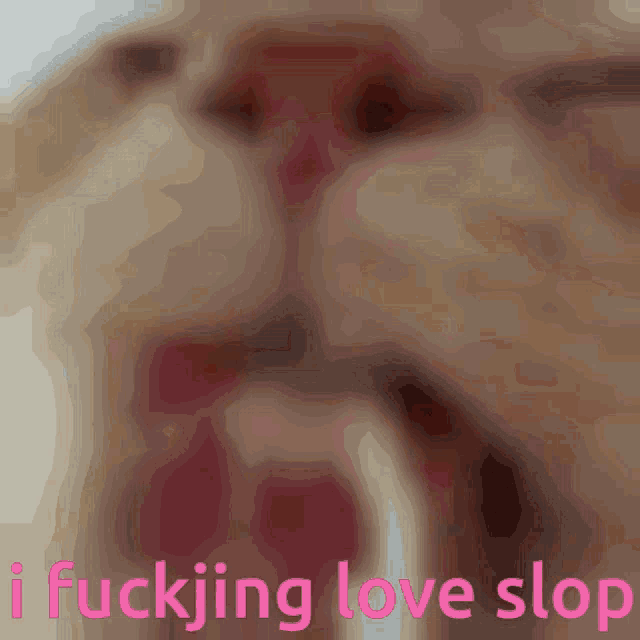 a close up of a cat 's face with the words i fucking love slop
