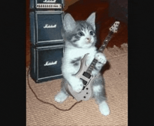 a cat is playing a guitar in front of a marshall stack