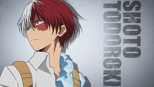 a picture of shoto todoroki with the name shoto todoroki above him