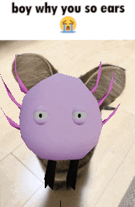 a picture of a purple axolotl with the words boy why you so ears