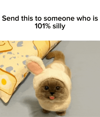 a cat wearing a bunny hat with the words send this to someone who is 101 % silly below it